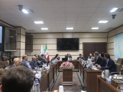مشکلات صنف داروسازی استان بررسی شد