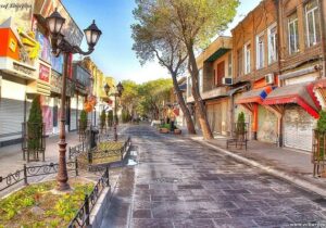تشدید محدودیتهای ترددی و برخورد با متخلفان در پیادهراه تاریخی تربیت