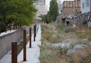 درختان مسیرگشائی خیابان گلستان جابجا میشود