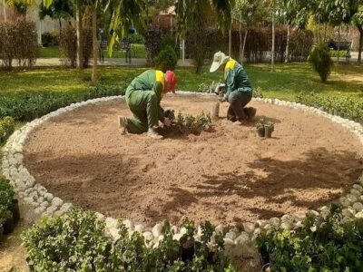 کاشت بیش از ۴۱۰ هزار نهال، درختچه و نشاء در منطقه ۴ تبریز